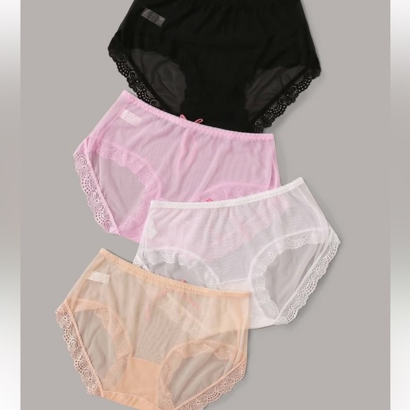BRAND NEW Sz L LINGERIE 4pack Lace Trim Sheer Panty Set Sexy Hip Brief - Picture 2 of 8